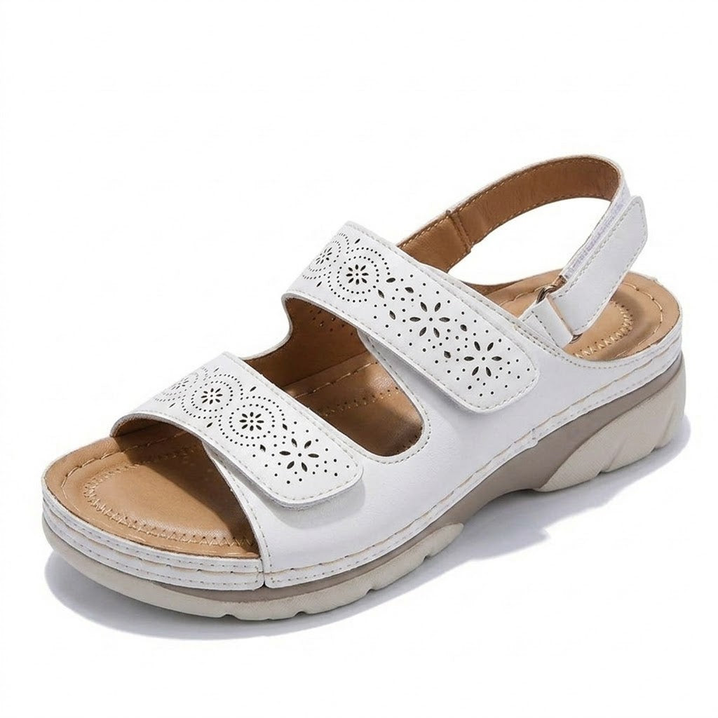White / 41