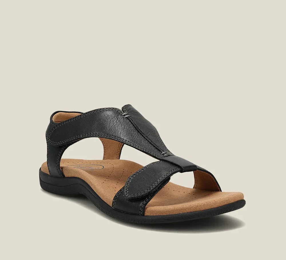 Black / 12