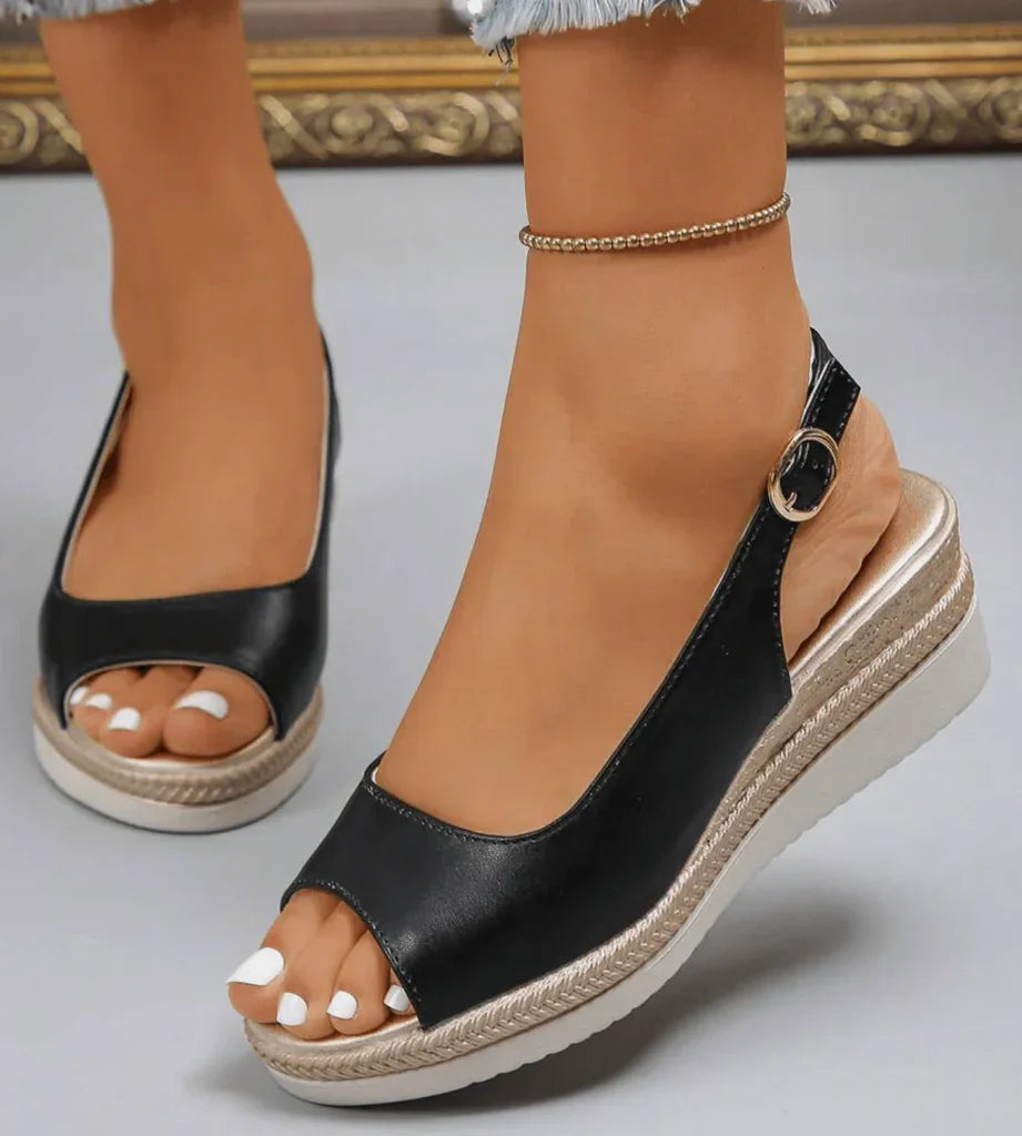 Black / 12