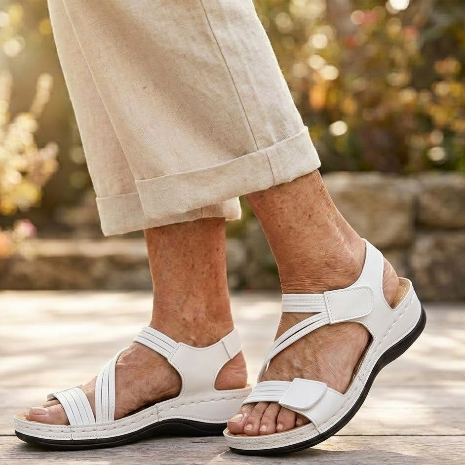 White / 12