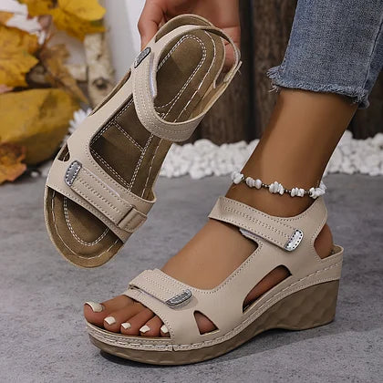 Beige / 13