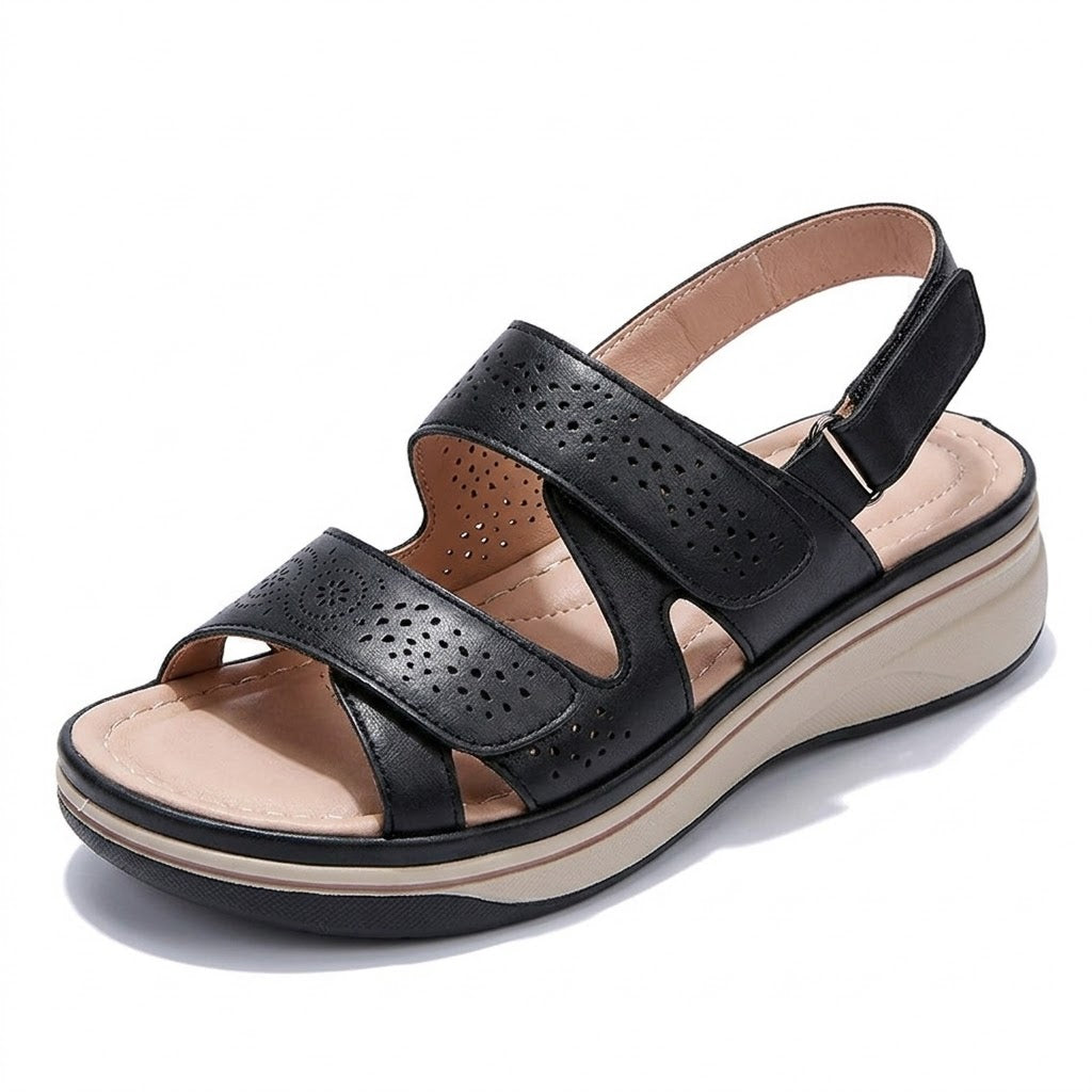 Black / 41